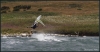 Filename : 033~21.jpg
Filesize : 264KB
Dimensions : 1000x522
Date added : Jul 21, 2010 033~21.jpg